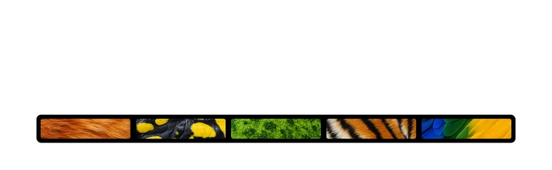 plasmata.org